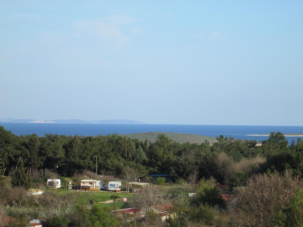 Apartments Villa Fernetich Premantura Bagian luar foto